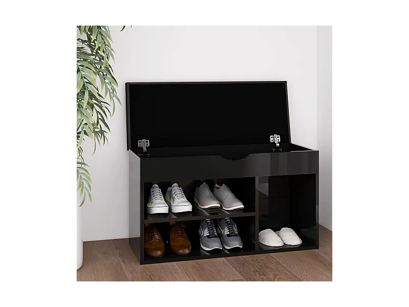 Schoenenbank en kussen van glanzend zwart bewerkt hout