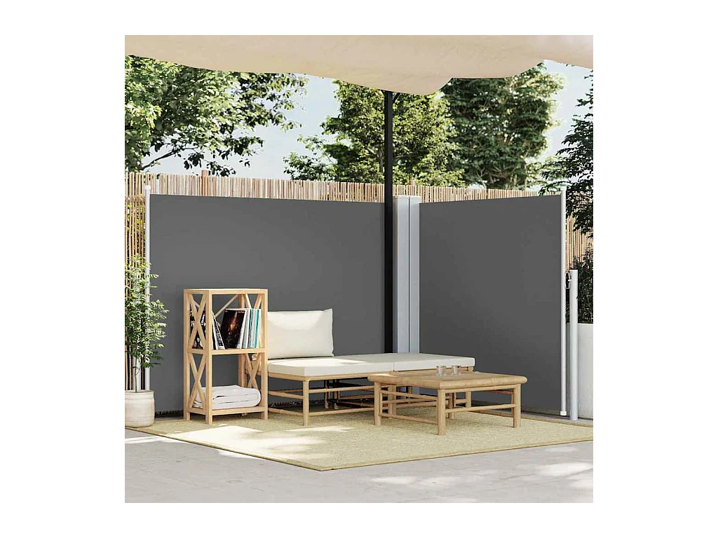 Auvent latéral rétractable Anthracite 140 x 600 cm