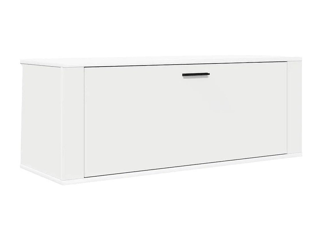 Wandmontierter Schuhschrank Weiß 100x35x38cm Holzwerkstoff