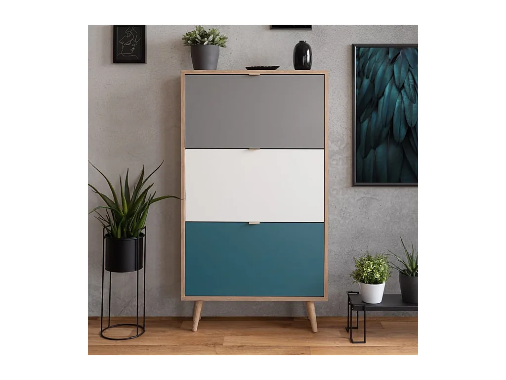 Armoire à chaussures C-uba 42 Chêne Sonoma et tricolore