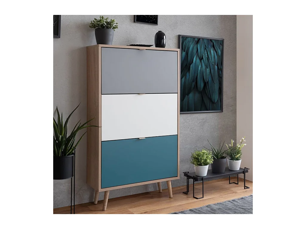 Armoire à chaussures C-uba 42 Chêne Sonoma et tricolore