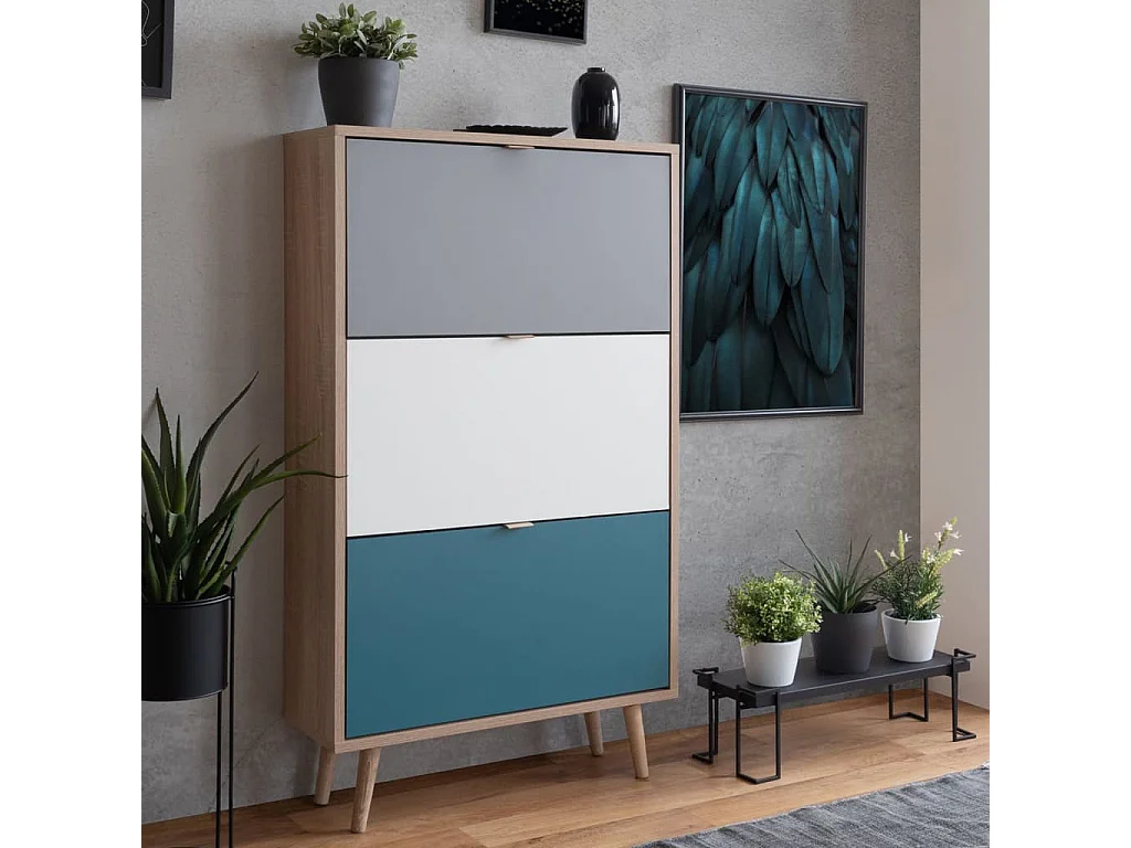 Armoire à chaussures C-uba 42 Chêne Sonoma et tricolore