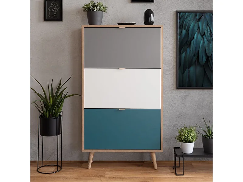 Armoire à chaussures C-uba 42 Chêne Sonoma et tricolore