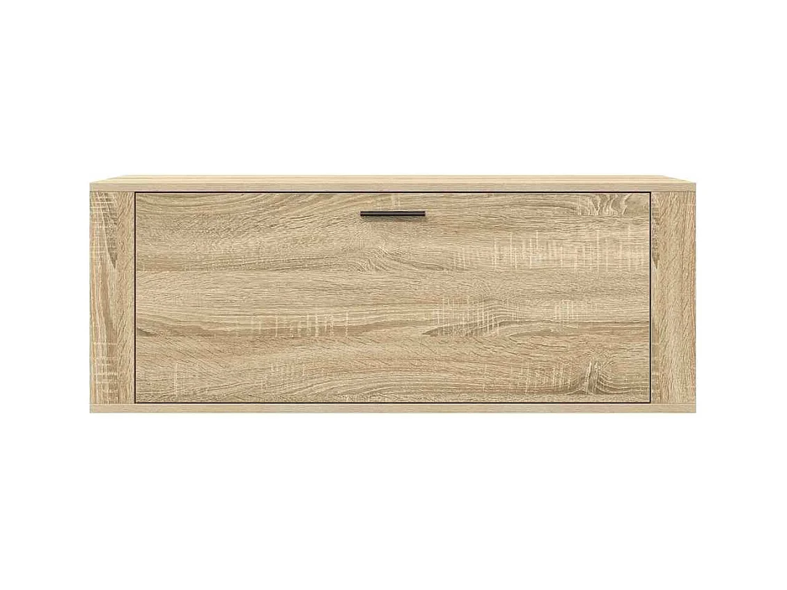 Armoire à chaussures murale Chêne sonoma 100x35x38 cm