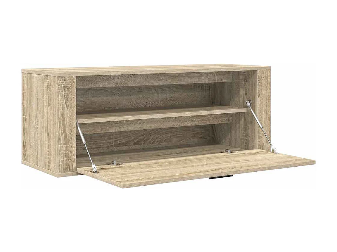Armoire à chaussures murale Chêne sonoma 100x35x38 cm