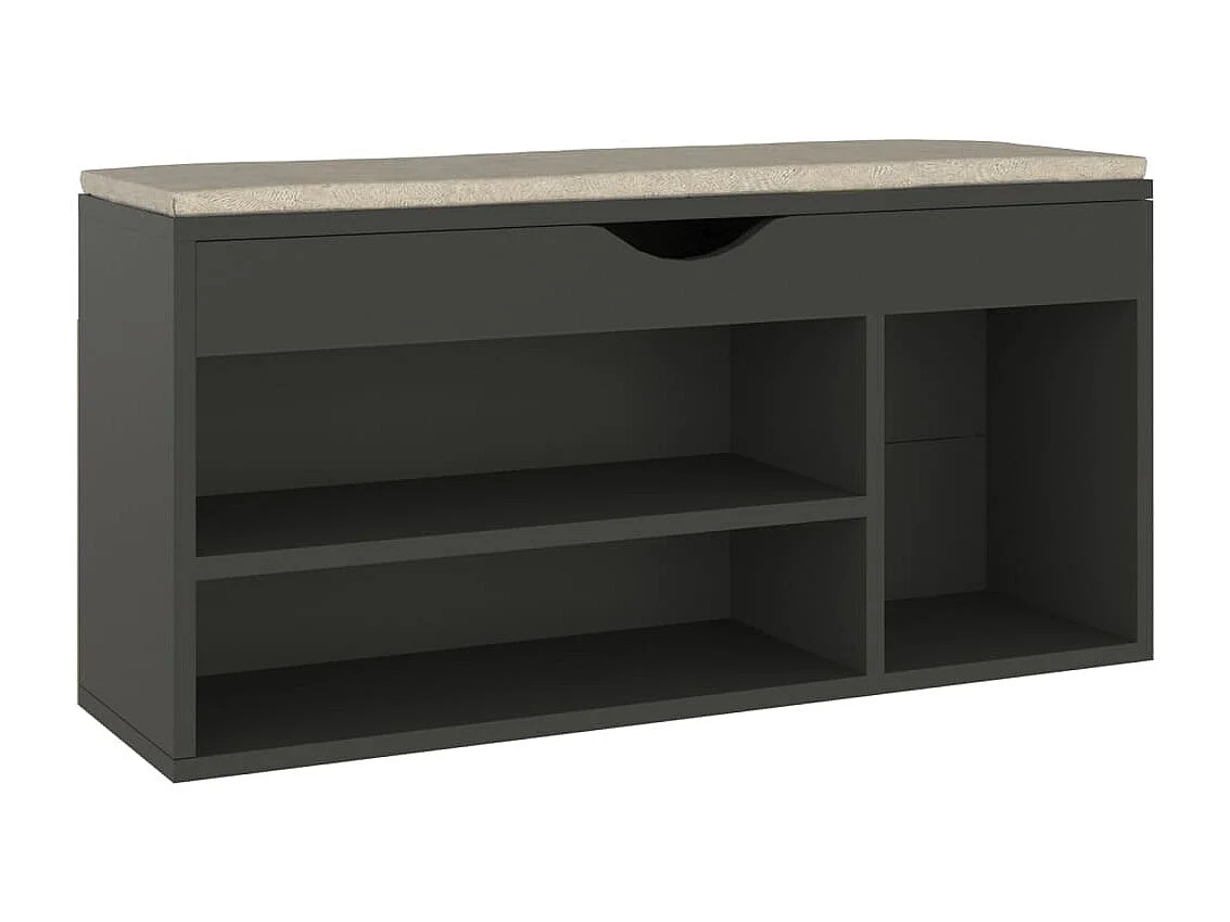 Banco zapatero y cojín Gris 104x30x49cm Madera de ingeniería