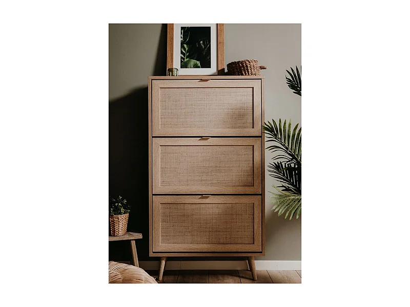 Armoire à chaussures Chêne sonoma/ impression de canne