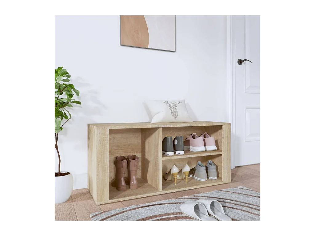 Armoire à chaussures Chêne sonoma 100x35x45cm Bois d'ingénierie