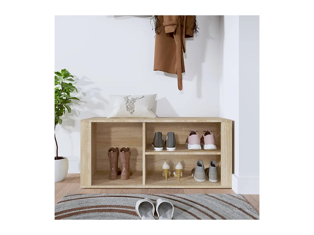 Armoire à chaussures Chêne sonoma 100x35x45cm Bois d'ingénierie
