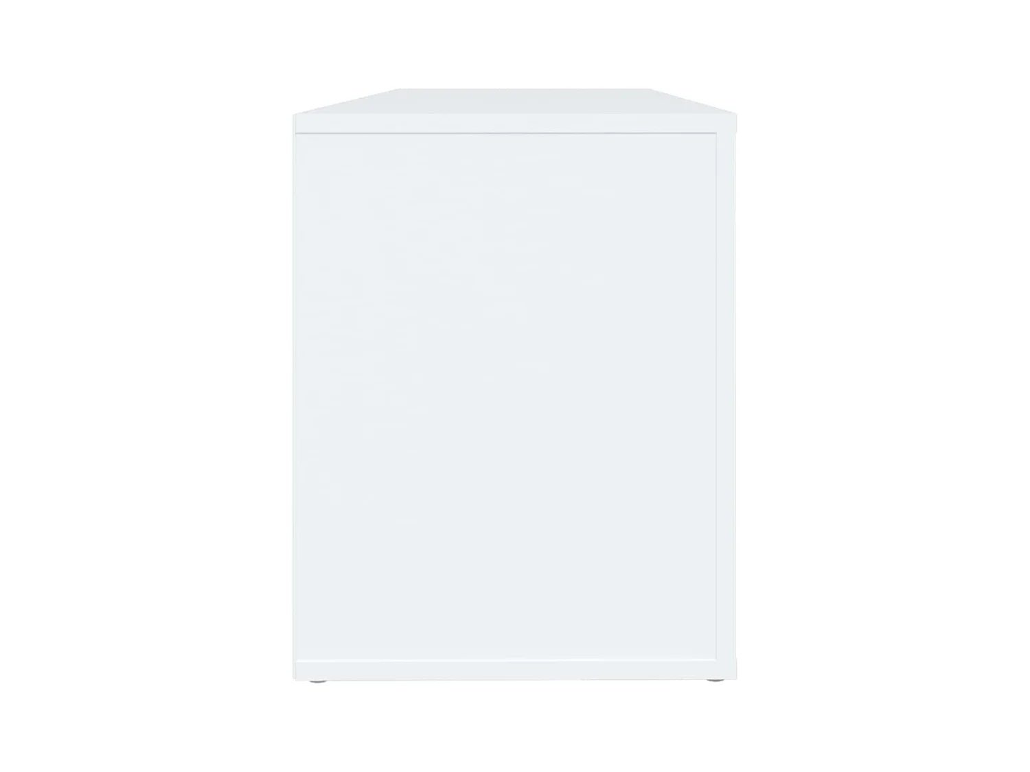 Armoire à chaussures Blanc 100x35x45 cm Bois d'ingénierie