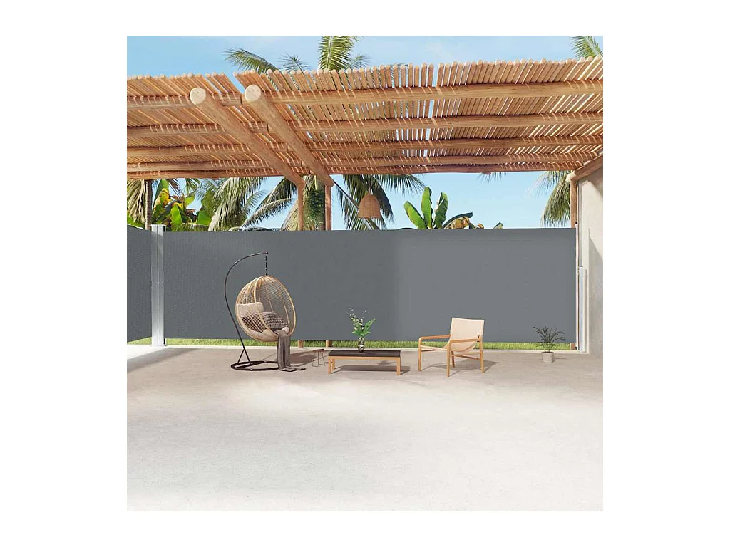 Auvent latéral rétractable Anthracite 220x1200 cm