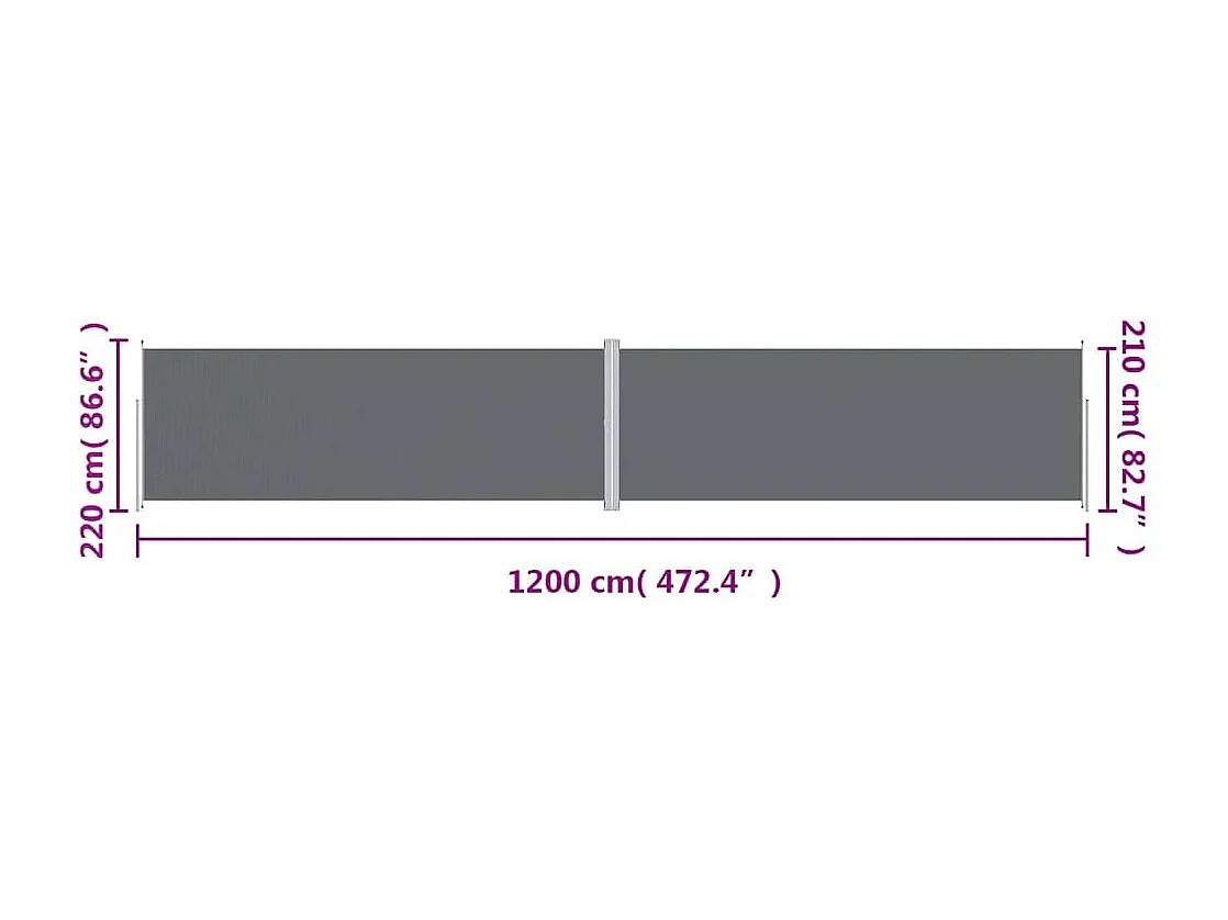 Auvent latéral rétractable Anthracite 220x1200 cm