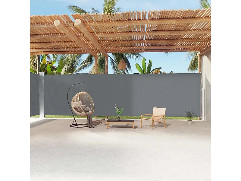 Auvent latéral rétractable Anthracite 220x1200 cm