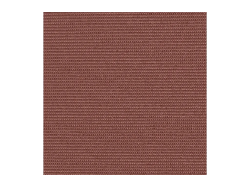 Auvent latéral rétractable marron 220x500 cm