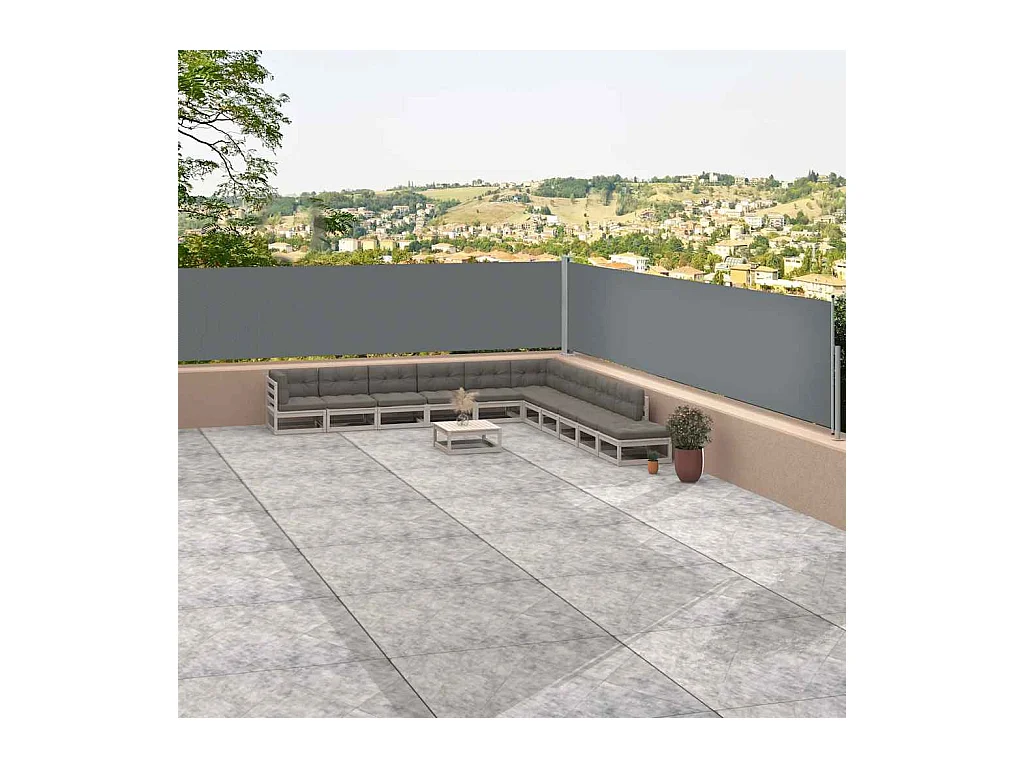 Auvent latéral rétractable Anthracite 117x1200 cm