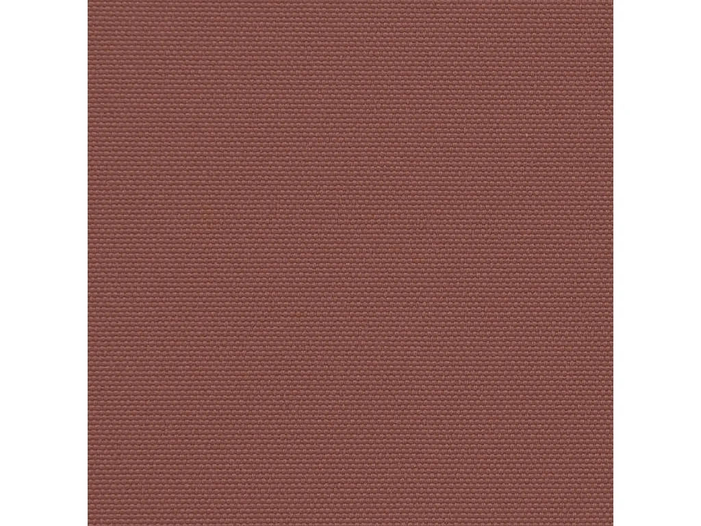 Tenda da sole laterale retrattile marrone 220x300 cm