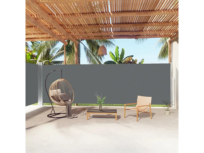 Tenda da sole laterale retrattile Antracite 200x1000 cm