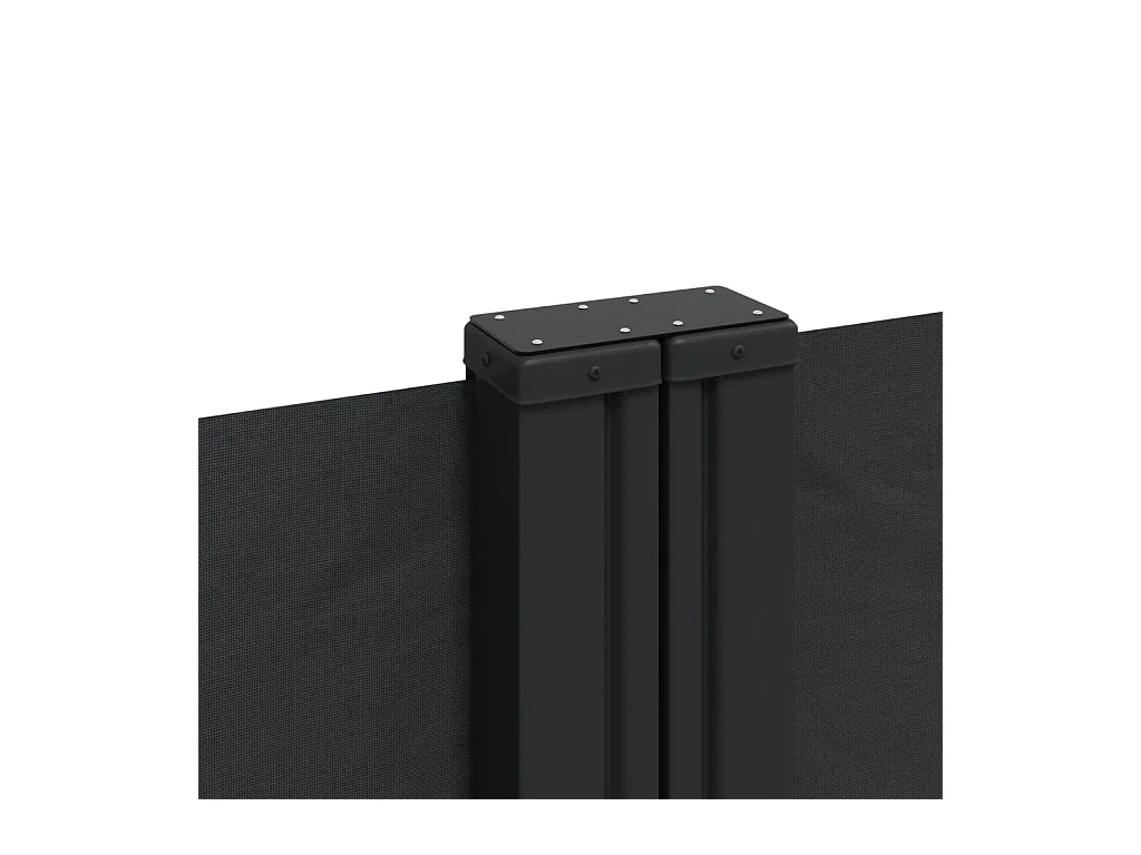 Auvent latéral rétractable noir 180x1200 cm