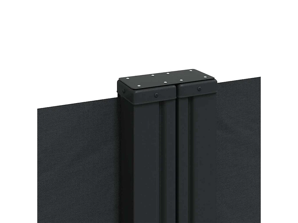Auvent latéral rétractable noir 180x600 cm