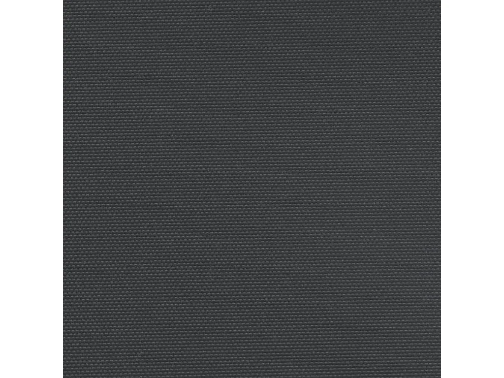 Auvent latéral rétractable noir 180x600 cm
