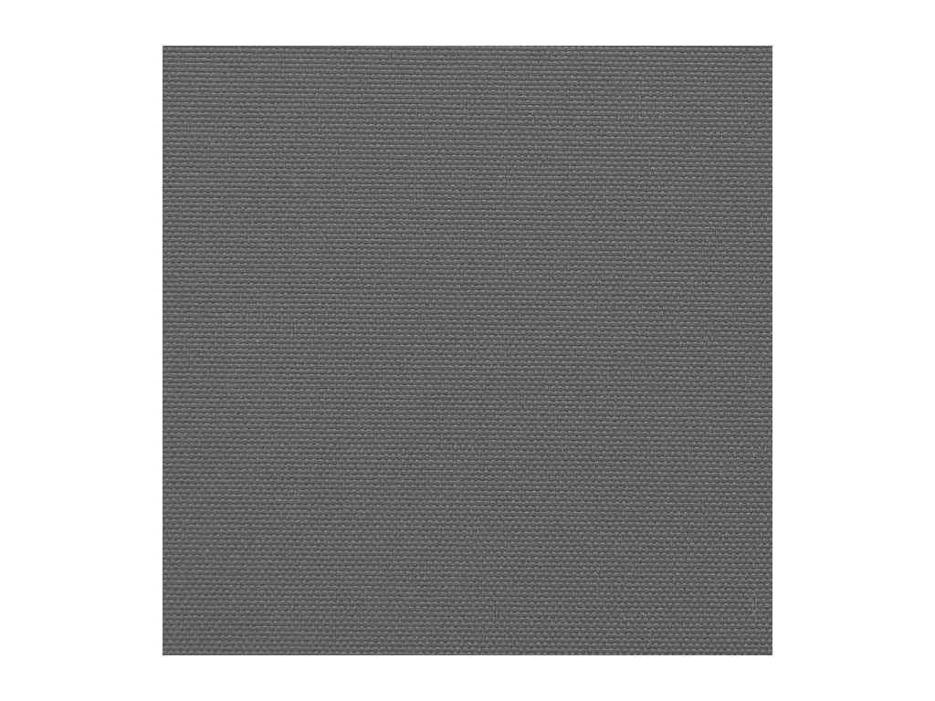 Auvent latéral rétractable anthracite 120x1200 cm