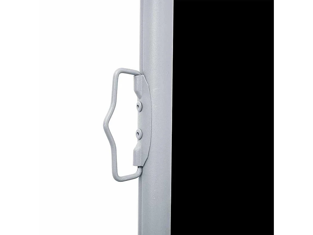 Auvent latéral rétractable Noir 100 x 600 cm