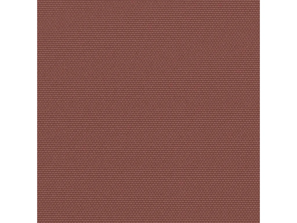 Auvent latéral rétractable marron 200x300 cm