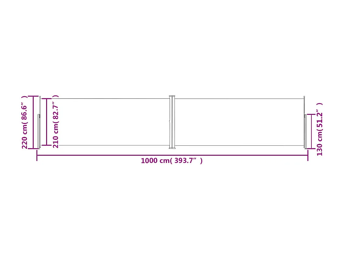 Auvent latéral rétractable Noir 220x1000 cm