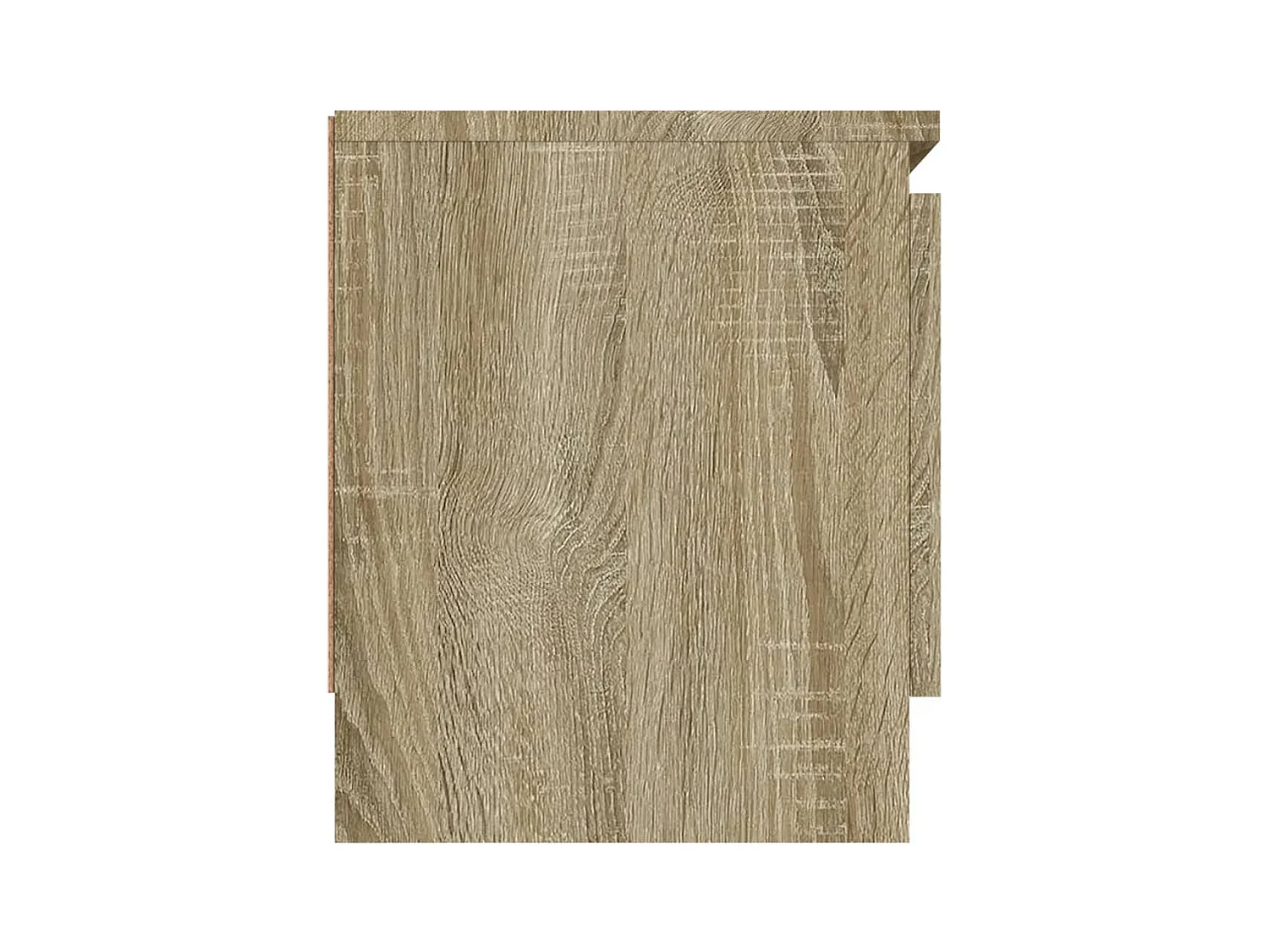 Meuble TV avec porte Chêne sonoma 102x30x36 cm