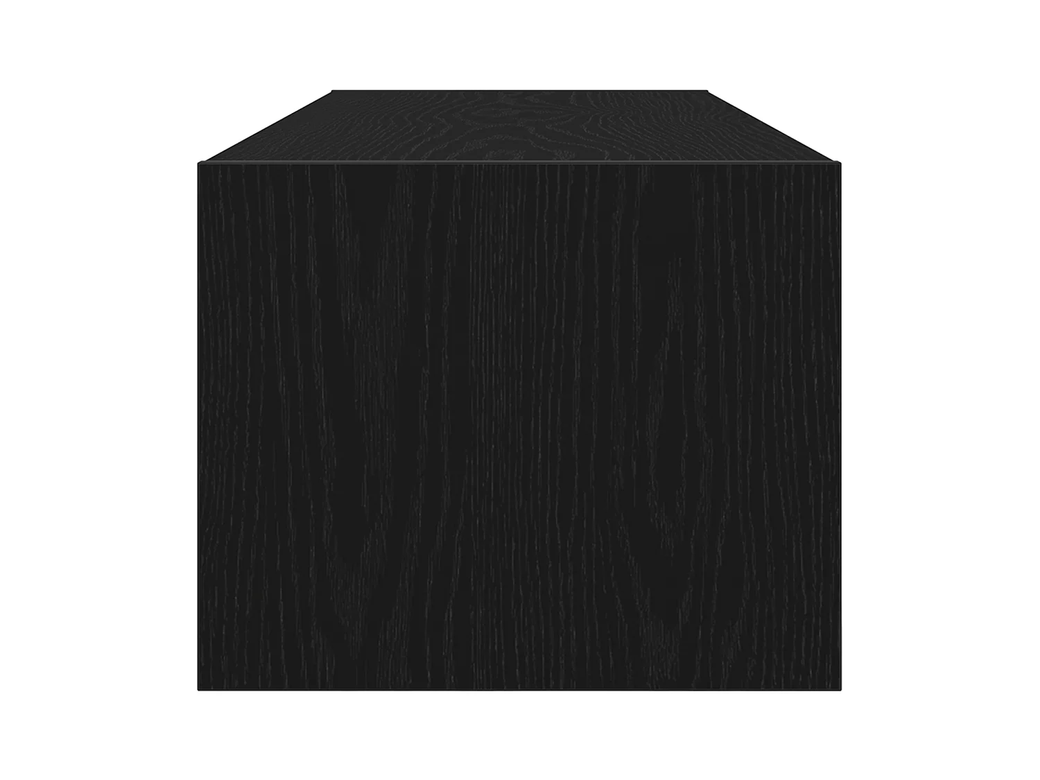 Meuble TV Noir Chêne 100x31x25,5 cm Bois d'ingénierie