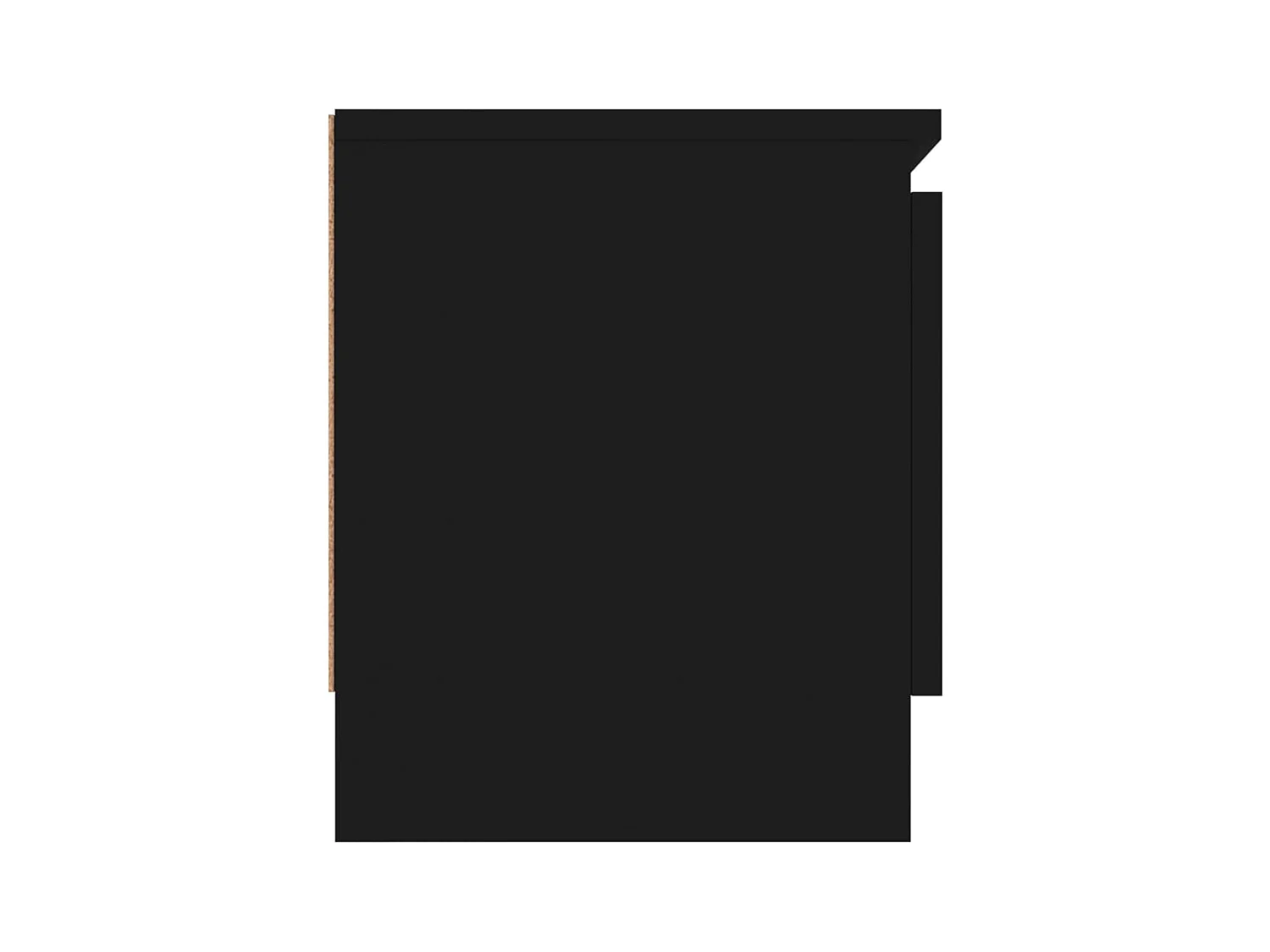 Meuble TV avec porte Noir 102x30x36 cm