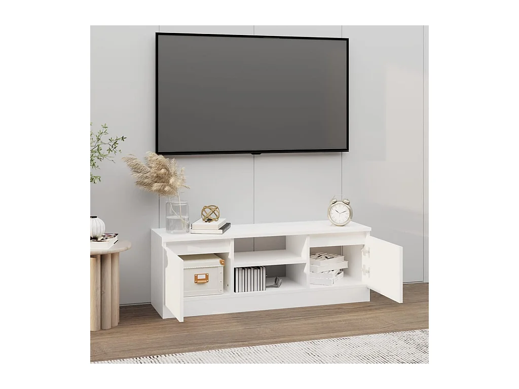 Meuble TV avec porte Blanc 102x30x36 cm