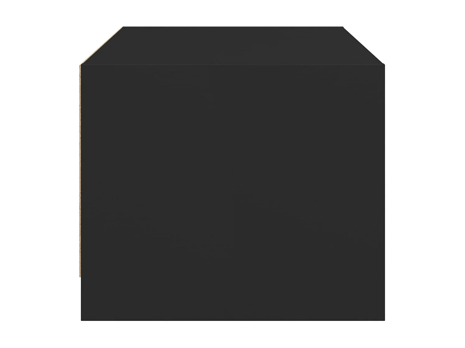 Table basse avec portes en verre noir 68x50x42 cm