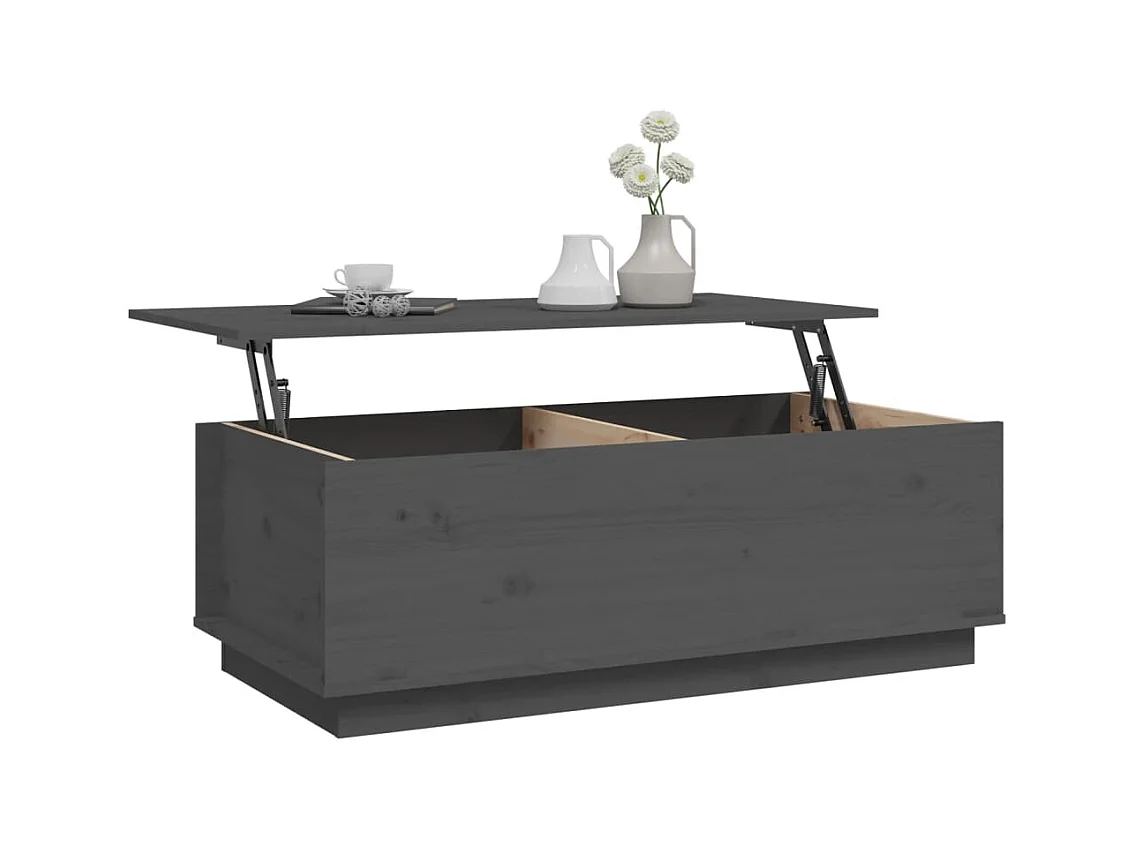 Table basse Gris 100x50x35 cm Bois massif de pin