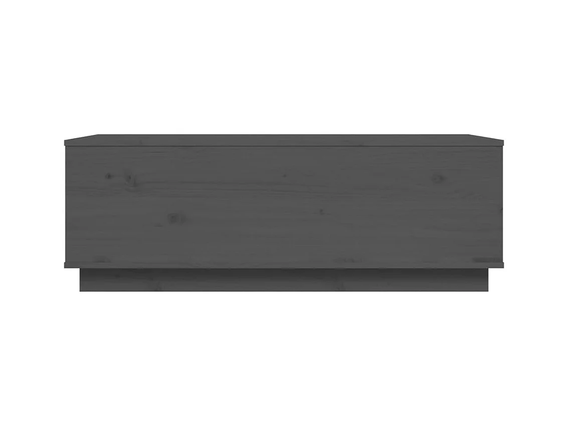 Table basse Gris 100x50x35 cm Bois massif de pin