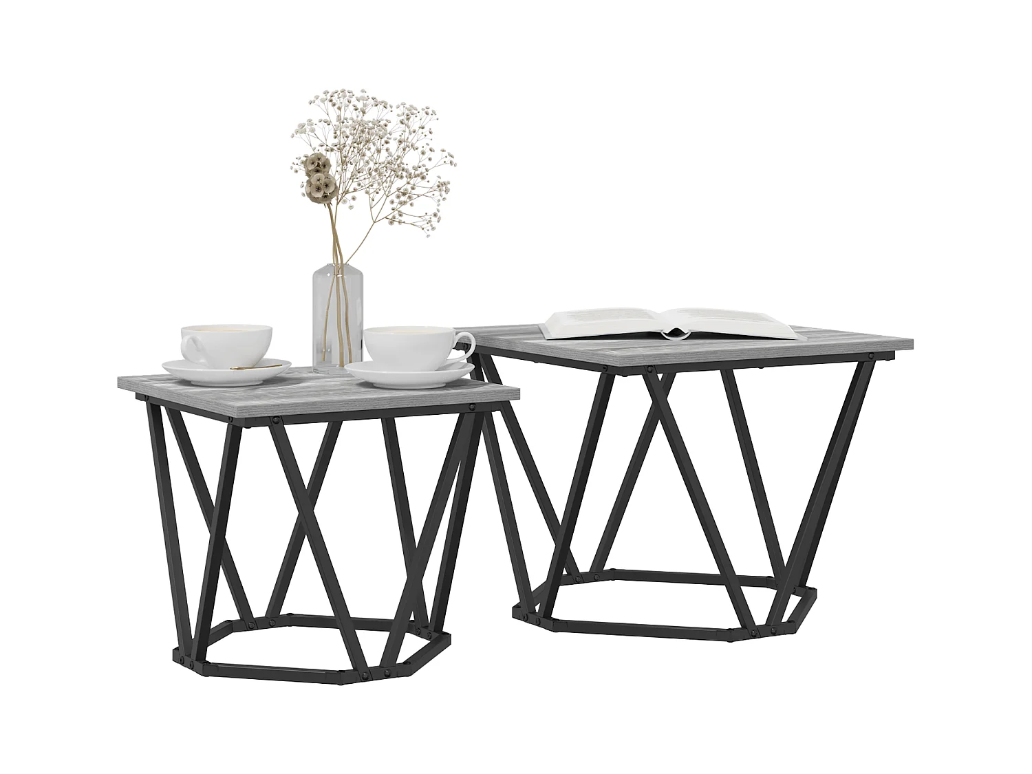 Set de 2 tables d'appoint en bois d'ingénierie gris Sonoma