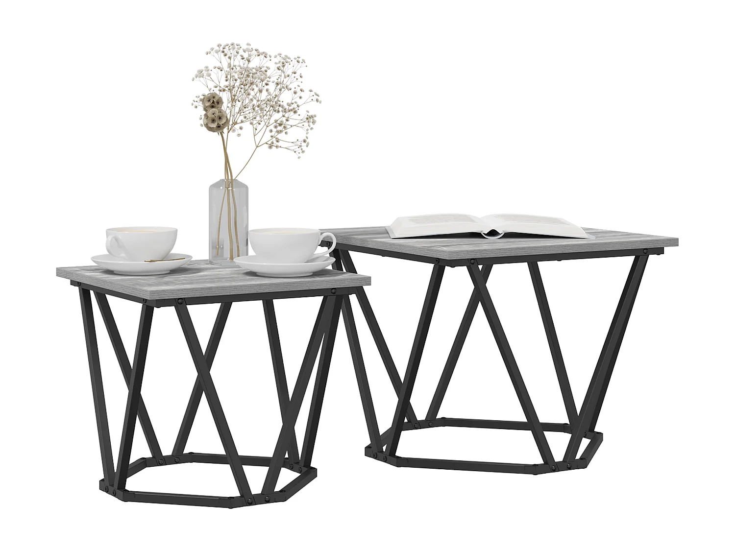 Set de 2 tables d'appoint en bois d'ingénierie gris Sonoma