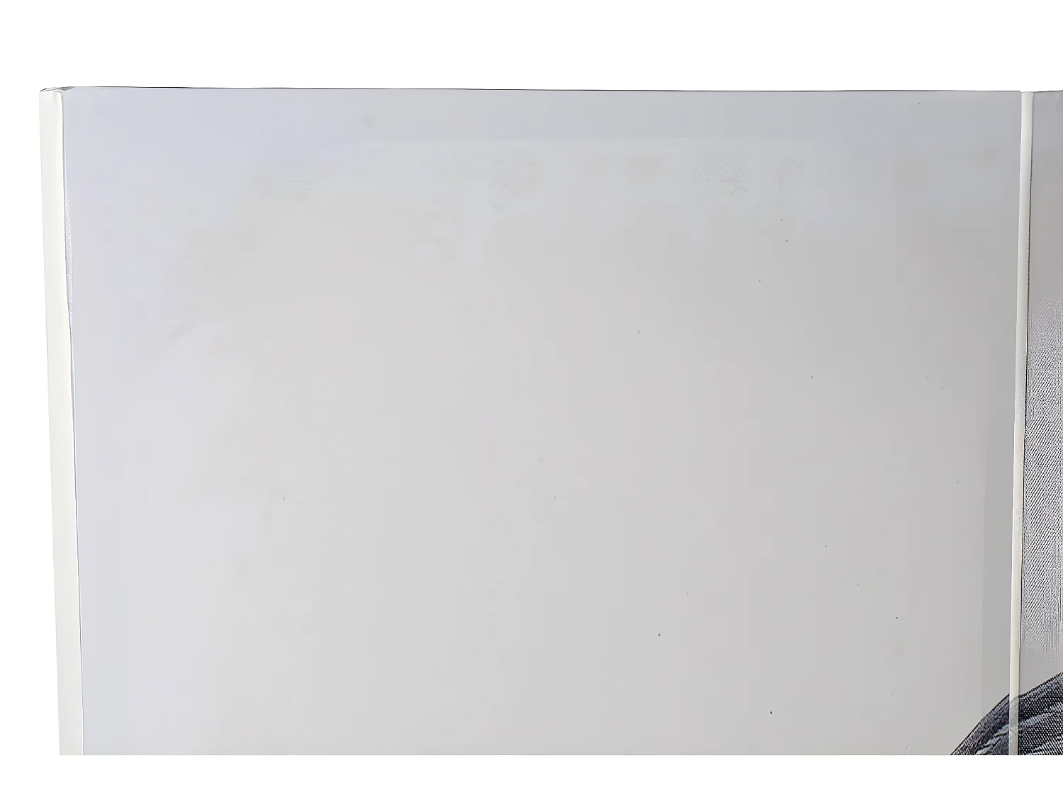 Paravent 2 faces de 3 pans en pin et toile motif cigogne - Longueur 120 x Hauteur 180 x Profondeur 2 cm