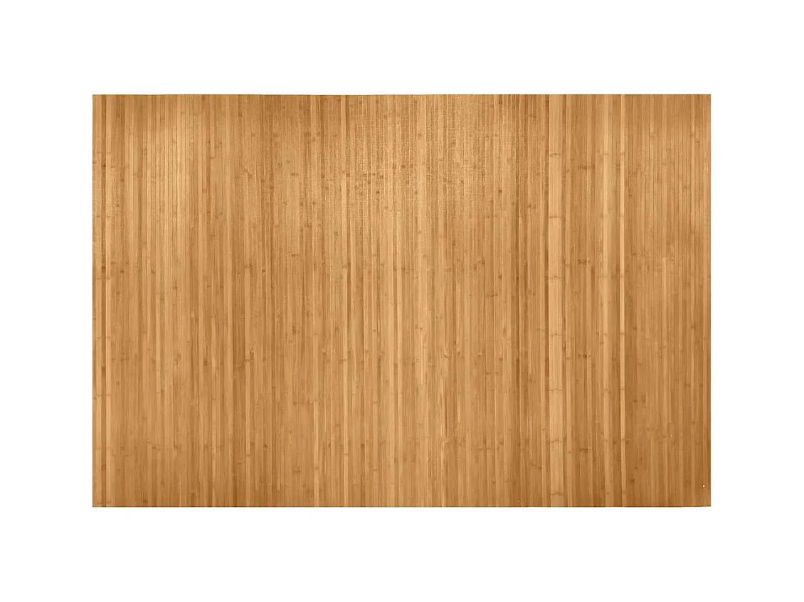 Mampara de bambú natural 250x165 cm
