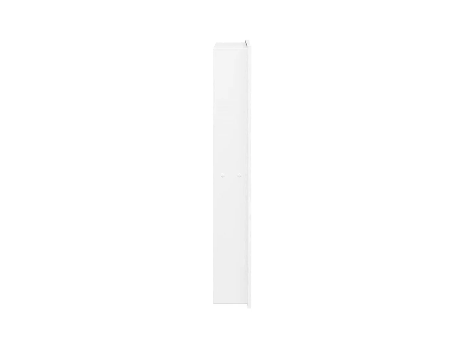 Niche de douche blanc mat 32x62x9 cm acier inoxydable FR193335
