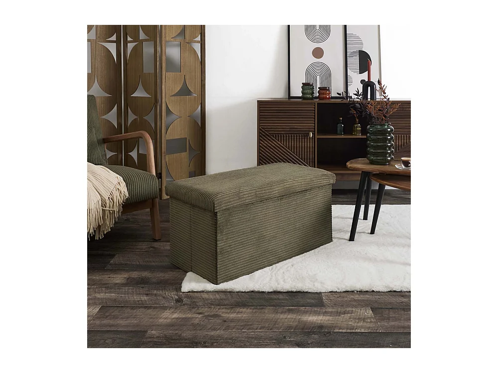 Coffre Banc Pliable Cotele Scott Vert