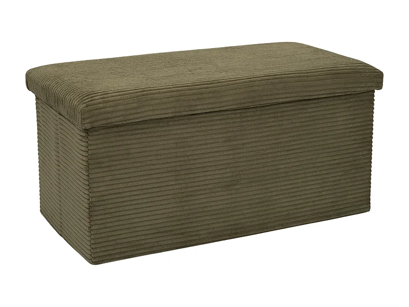 Coffre Banc Pliable Cotele Scott Vert