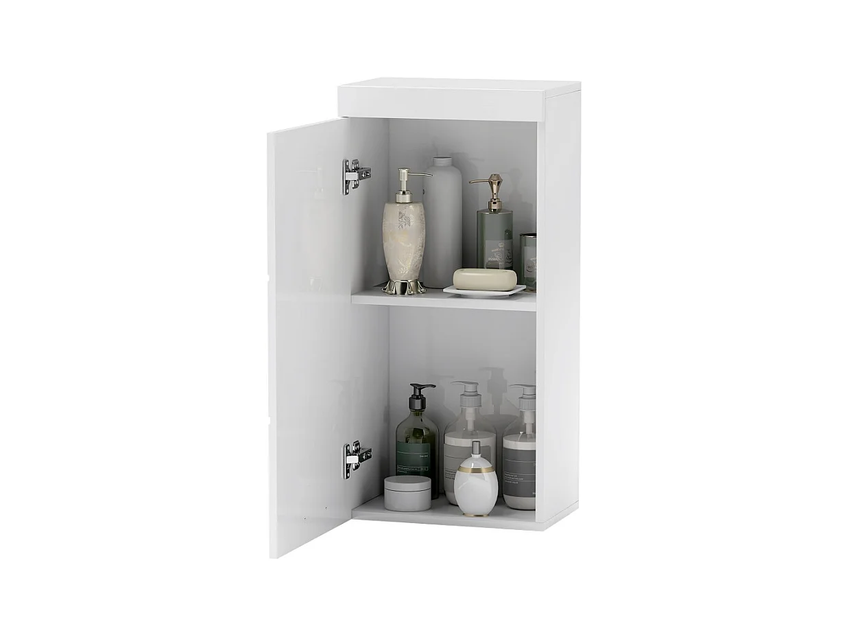 Wandkast met deur, 2 planken, opbergmeubel, hout, wit (37,2x24,5x76,8 cm)