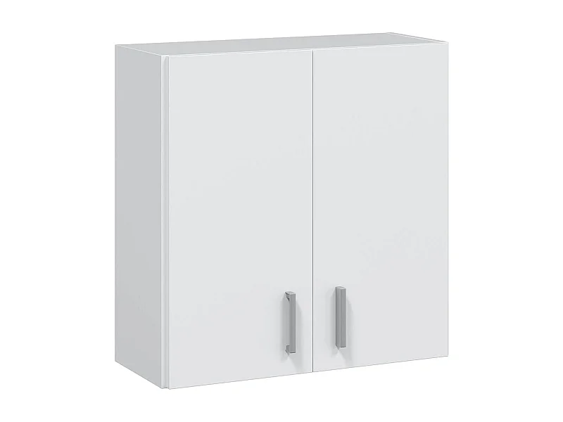 Armoire de rangement suspendue avec 2 portes coloris blanc - H60 x L59 x P26.5 cm