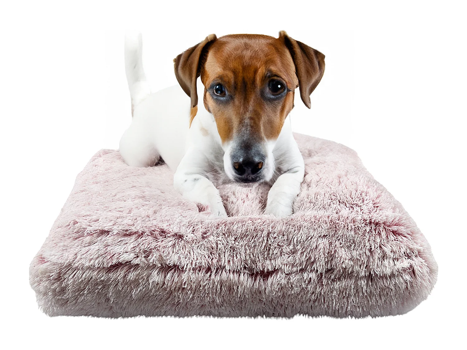 Coussin Lit Animaux Rose