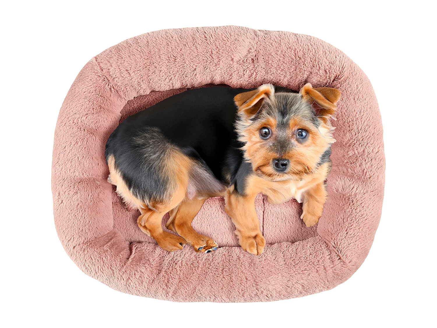 Coussin Lit Animaux Gris 50cm