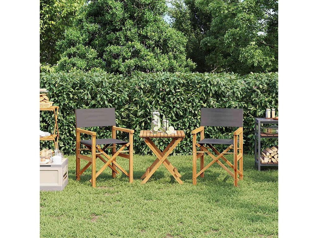 Set di 2 sedie da regista pieghevoli in legno massello di teak