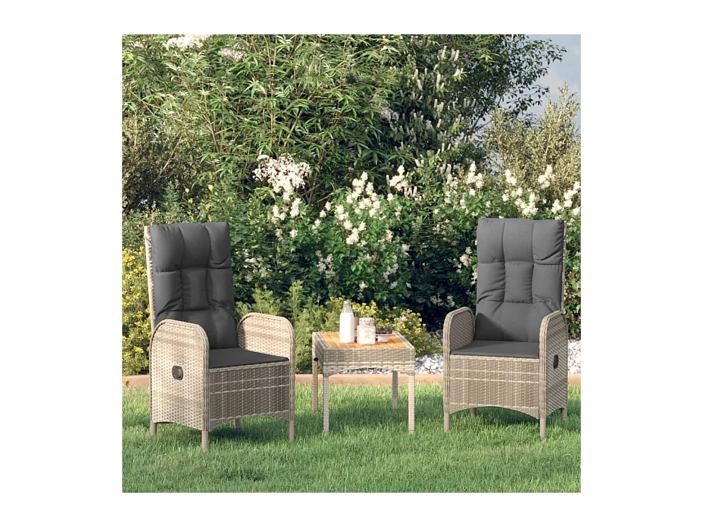 Set di 2 sedie da esterno in resina intrecciata grigia