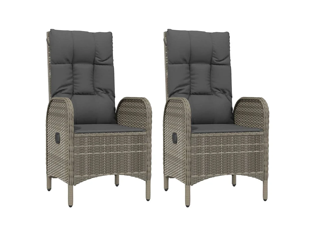 Chaises d'extérieur lot de 2 Résine tressée Gris