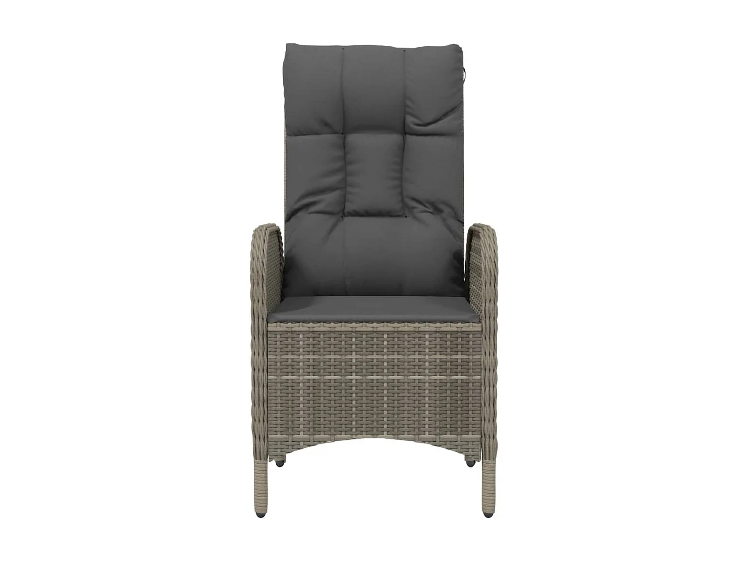 Chaises d'extérieur lot de 2 Résine tressée Gris